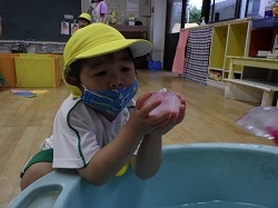 R0011537.jpg